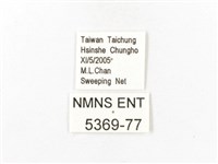 重陽木螢斑蛾藏品圖，第3張