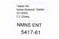 蓬萊短角窗螢藏品圖，第3張
