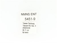 東方白點花金龜藏品圖，第2張