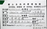 心形海壺藏品圖，第14張