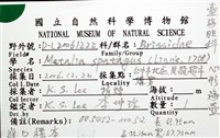心形海壺藏品圖，第20張