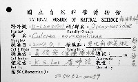 麵包海星(饅頭海星)藏品圖，第12張