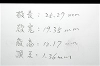 脊背壺海膽藏品圖，第11張