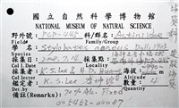 造殼海葵之一種藏品圖，第10張