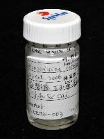 凱達格蘭新米蝦藏品圖，第8張