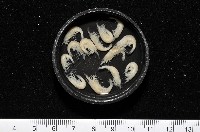凱達格蘭新米蝦藏品圖，第1張