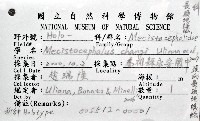 張氏長頭地蜈蚣藏品圖，第6張