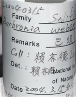 巴蛭藏品圖，第5張