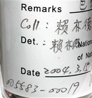 巴蛭藏品圖，第6張