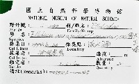 猶大耳螺藏品圖，第12張