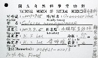 麵包海星(饅頭海星)藏品圖，第12張