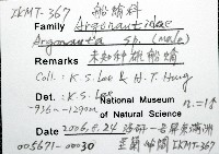 未知種船蛸藏品圖，第12張