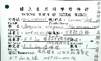 秀麗布萊海膽藏品圖，第20張