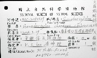 大指蝦蛄藏品圖，第12張