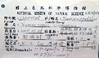 印太水孔蛸藏品圖，第8張