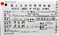 石山芝麻蝸藏品圖，第10張