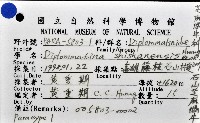 石山芝麻蝸藏品圖，第6張