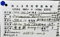 水田芝麻蝸藏品圖，第6張