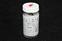 臺灣深海殼菜蛤藏品圖，第10張