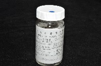 臺灣深海殼菜蛤藏品圖，第5張