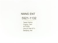 銅艷白點花金龜藏品圖，第2張