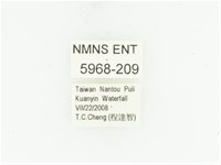 藍艷白點花金龜藏品圖，第2張