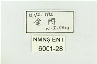 藍點紫斑蝶藏品圖，第3張