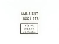 下村角金龜藏品圖，第2張