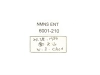 毛翅騷金龜藏品圖，第2張