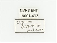 橫紋青銅金龜藏品圖，第2張