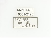 三輪長腳花金龜藏品圖，第2張