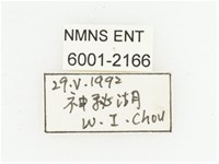 叉斑陷紋金龜藏品圖，第2張