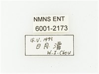 艷邊花金龜藏品圖，第2張