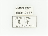 黑斑陷紋金龜藏品圖，第2張