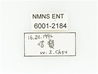 黑斑陷紋金龜藏品圖，第2張