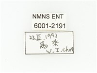 黑斑陷紋金龜藏品圖，第2張