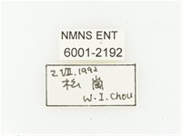 艷邊花金龜藏品圖，第2張