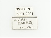 馬場青銅金龜藏品圖，第2張