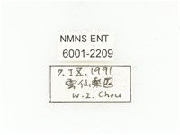 綠艷白點花金龜藏品圖，第2張