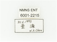 黑斑陷紋金龜藏品圖，第2張