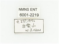 黑斑陷紋金龜藏品圖，第2張