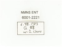 東方白點花金龜藏品圖，第2張