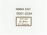 馬場青銅金龜藏品圖，第2張