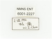 艷邊花金龜藏品圖，第2張