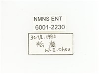 三輪長腳花金龜藏品圖，第2張