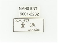 黑斑陷紋金龜藏品圖，第2張