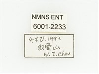 黑斑陷紋金龜藏品圖，第2張