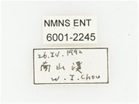 巴蘭陷紋金龜藏品圖，第2張