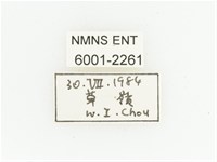 臺灣瘦花金龜藏品圖，第2張