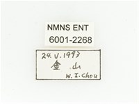 淡水長鬚金龜藏品圖，第2張